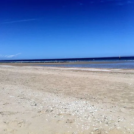 Flat 50m & Center Apartament *