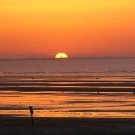 Flat 50m & Center Apartament Cabourg