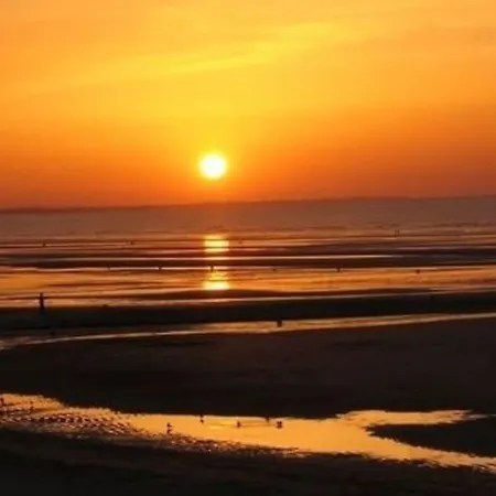 Apartament Flat 50m & Center