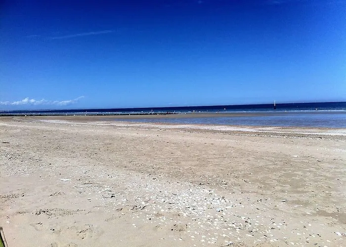 Flat 50m & Center Apartman *